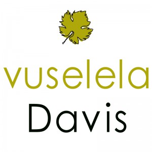 vusd sq2