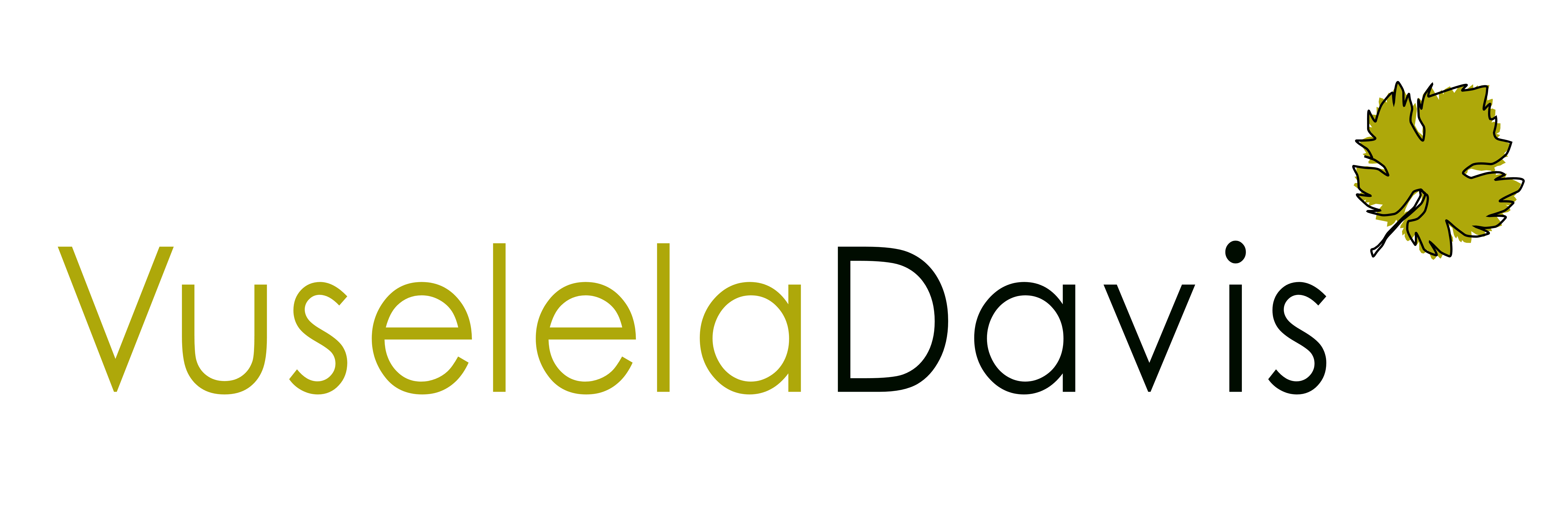 logoVuselelaDavis_10